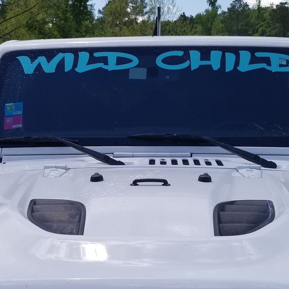 Meet your Posher, Misty